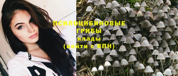 экстази Богданович